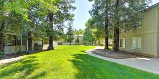 The Redwoods Apartments Gallery 14