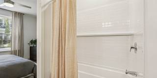 Ascend at Carlton Gallery 56