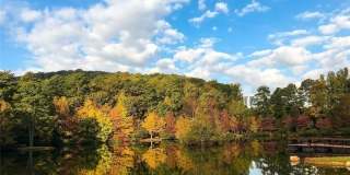 607 Hidden Close Gallery 11