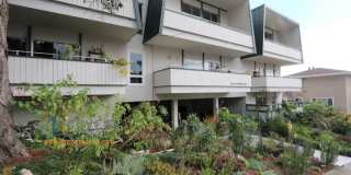 Contemporary North Berkeley Mid-Century 1 Bedroom Condominium Gallery 1