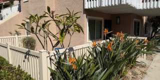 One bedroom condo for rent One bedroom condo for rent Gallery 1