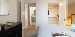 Folia Gallery 84