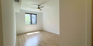 Caroline at Golden Glades Gallery 49