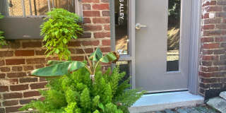 104 Miss Scott's Alley Gallery 7