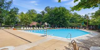 Glenmont Forest Gallery 49