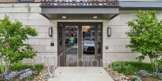 3503 Bellflower Lane Gallery 8