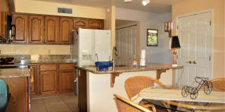 4049 East Via Del Mirlillo Gallery 26