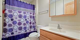 3 Bed House w/ Garage, Laundry, & Fenced Yard! Gallery 21