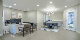 Rise on Cactus Gallery 113