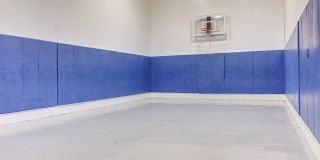 The Orion The Orion Gallery 21