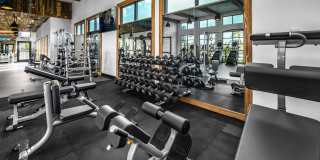 The ALIBI at Lake Lilly Gallery 32