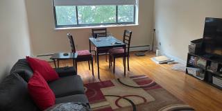 1-bed w/ Heat & Parking - Mt. Auburn (Watertown-Cambridge line) Gallery 3