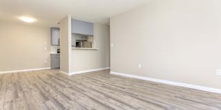 The Hazelwood Gallery 32