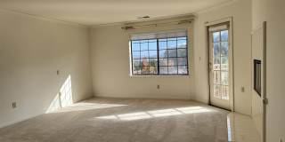 1295 Whispering Oaks Pl Gallery 14