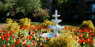 Fountain Gardens Gallery 8