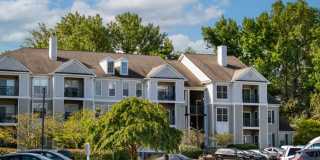 Alvista Bowie Gallery 38