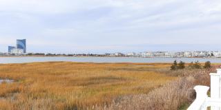 12 Gull Cv Gallery 4