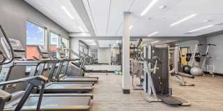 Solis at Petrosa Gallery 18