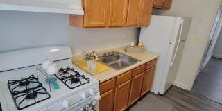 Stone Hills Stone Hills Gallery 14