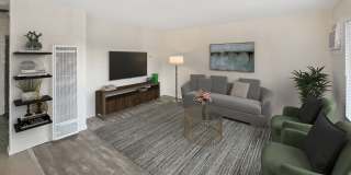 Renovated Apartments at Las Palmas at 133 ... Gallery 1