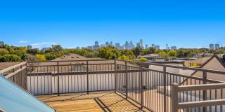 Magnolia at West Lemmon Gallery 40