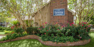 Pine Hills Gallery 27