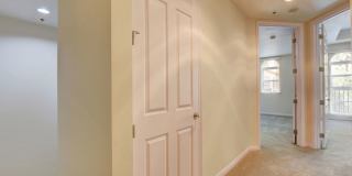 Boca Raton Gallery 43