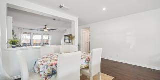 39 Longleaf Coral Gallery 12