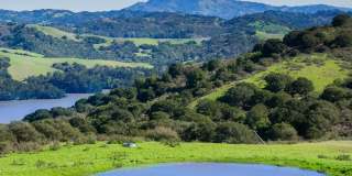 The Tides Apartments Gallery 23