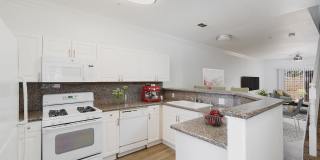 Parke Orcutt Gallery 8