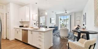 Douglas Grand at Telecom Parkway Gallery 19