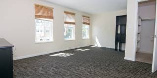 Huge Townhouse near T w Laundry in Unit!  30 Foot Ceilings in Living Room! Gallery 5