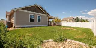 5 Bedroom Home in Windsor Colorado Gallery 47