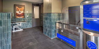 The Collins The Collins Gallery 39