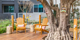 Vita Apartment Homes Gallery 33