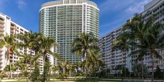 Flamingo South Beach Gallery 22