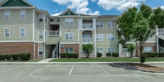 Cooper's Ridge Gallery 15