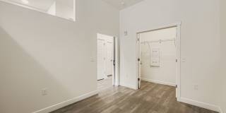 Avian Gallery 32