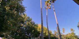 5008 Bremner Way Gallery 28
