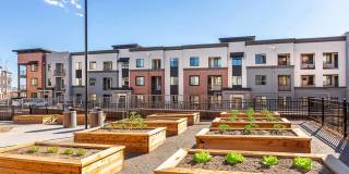 Olivean Apartments Gallery 30