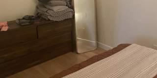 1127 Commonwealth Ave. Gallery 8