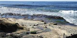 101 Coast Boulevard Gallery 37