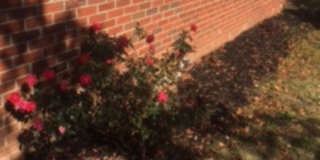 519 Beaulah Avenue Gallery 1