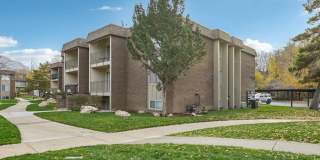 Country Woods Gallery 3