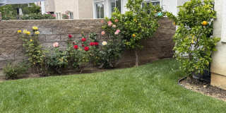 559 Yarrow Drive Gallery 20