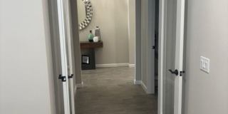 Welcome to Margaritaville 55 + Community Gallery 12