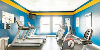 Elevate on Main Gallery 10