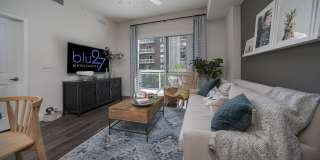 Blu27 at Edgewater Gallery 77