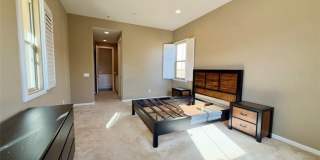 667 E Desert Willow Gallery 13