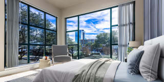 Carrara at Cole Gallery 2